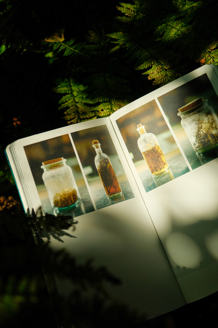 Gypsy Witches by Silvia Prió 10