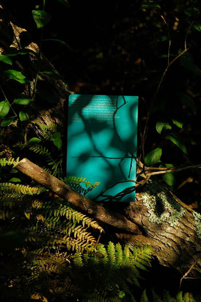 Gypsy Witches by Silvia Prió 11