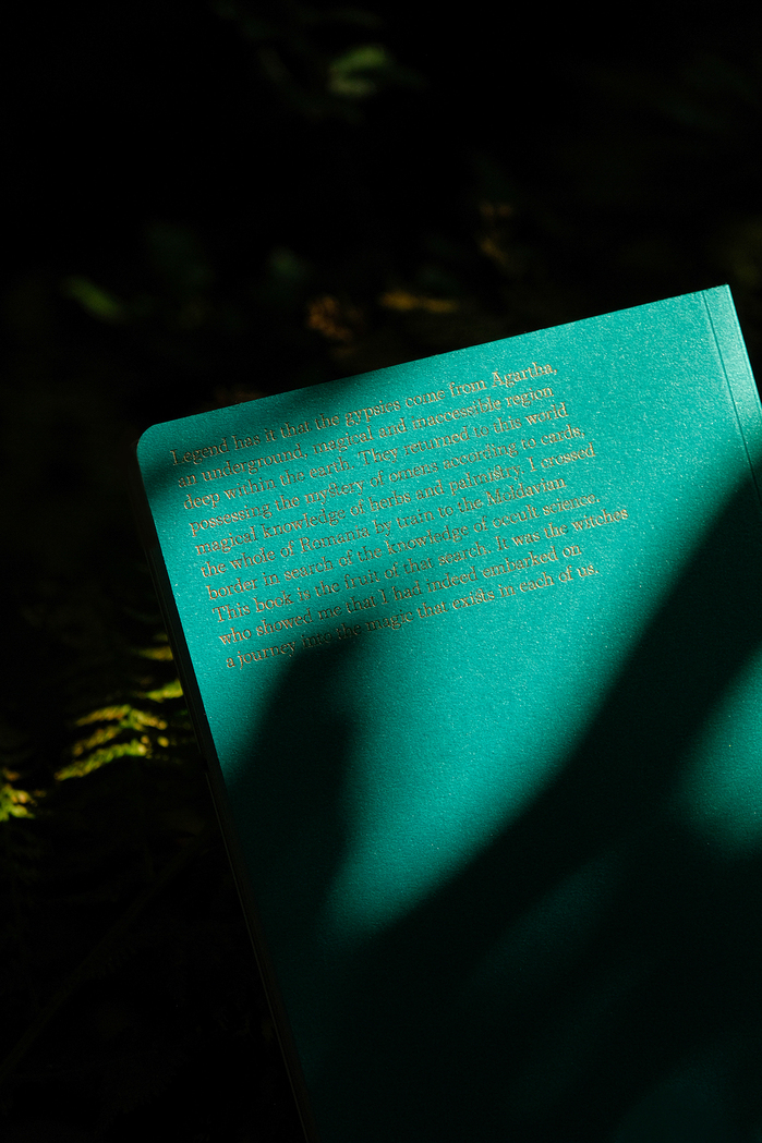 Gypsy Witches by Silvia Prió 12