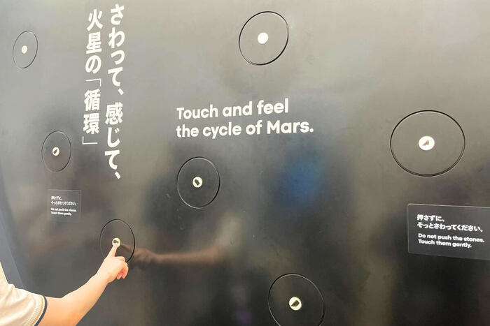 Japan Pavilion, Expo 2025 9