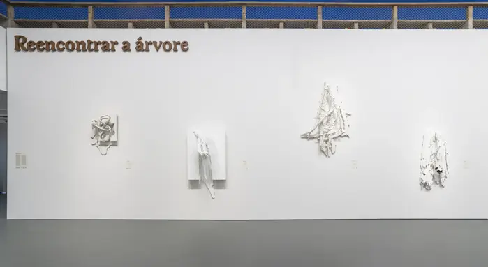 Frans Krajcberg. Reencontrar a árvore exhibition at MASP 2