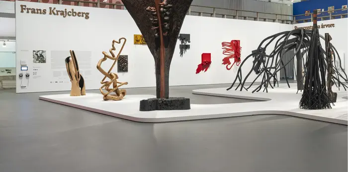 Frans Krajcberg. Reencontrar a árvore exhibition at MASP 3