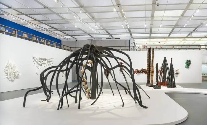 Frans Krajcberg. Reencontrar a árvore exhibition at MASP 4