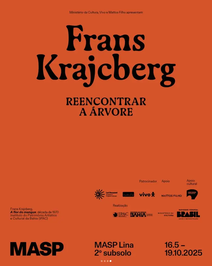 Frans Krajcberg. Reencontrar a árvore exhibition at MASP 5