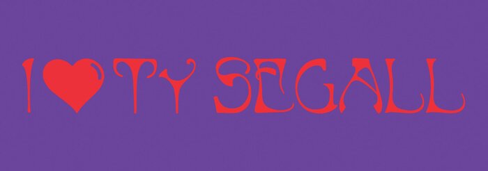 “I Love Ty Segall” bumper sticker