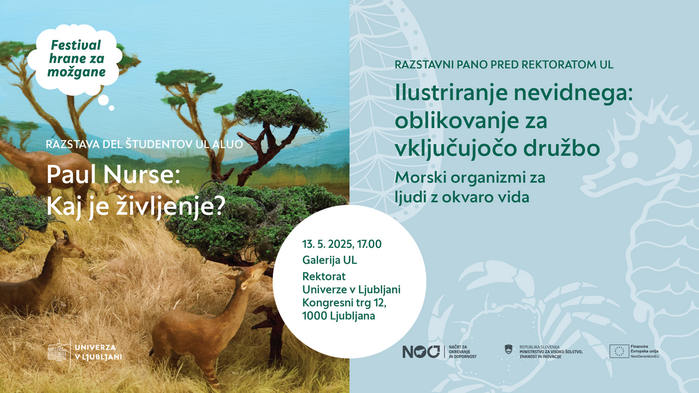 Festival hrane za možgane 6
