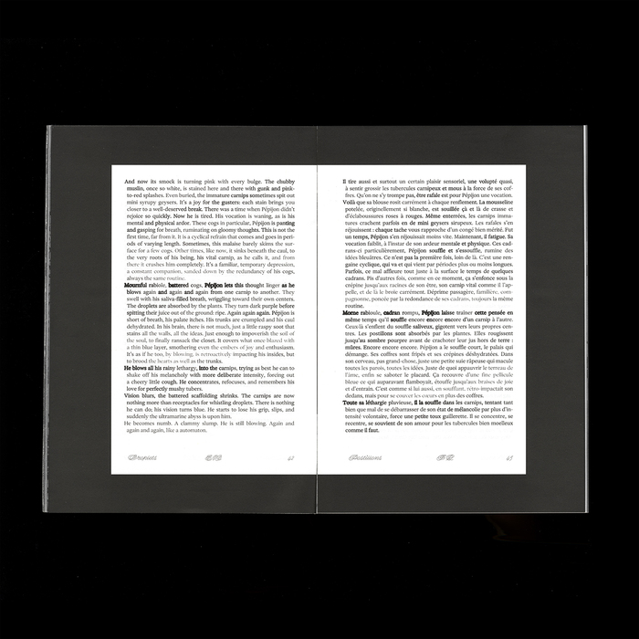 A piece of fiction by Mardi Forestier, making use of Federico Parra Barrios’s typeface Exposure to manifest breath.