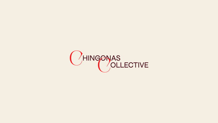 Chingonas Collective 1