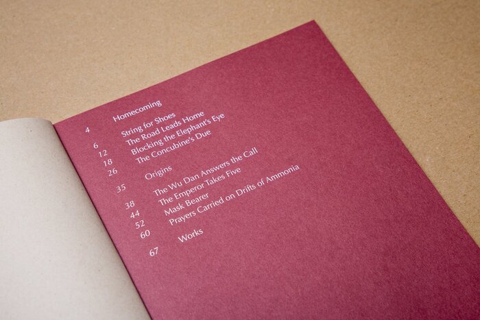 Homecoming by Warren King 2