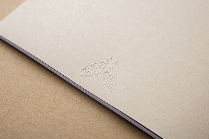 Homecoming by Warren King 9