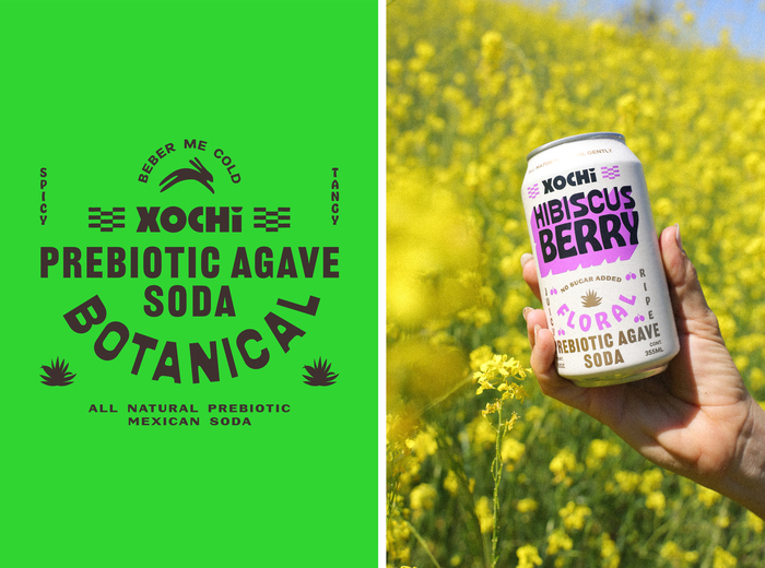 Xochi Prebiotic Agave Soda 5