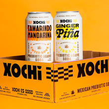 Xochi Prebiotic Agave Soda