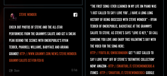 Stevie Wonder website 5