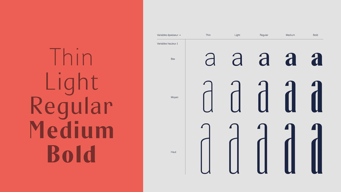 The typeface’s scope with five weights and three widths, or heights