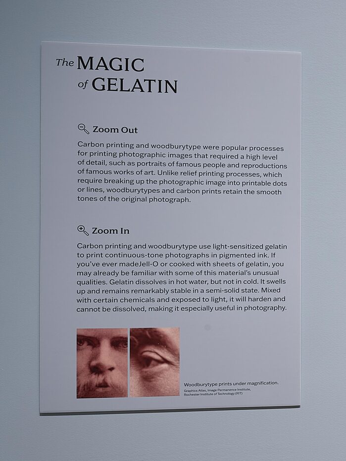 Process Work: Intersections of Photography and Print ca. 1825 to Today, RISD Museum 5