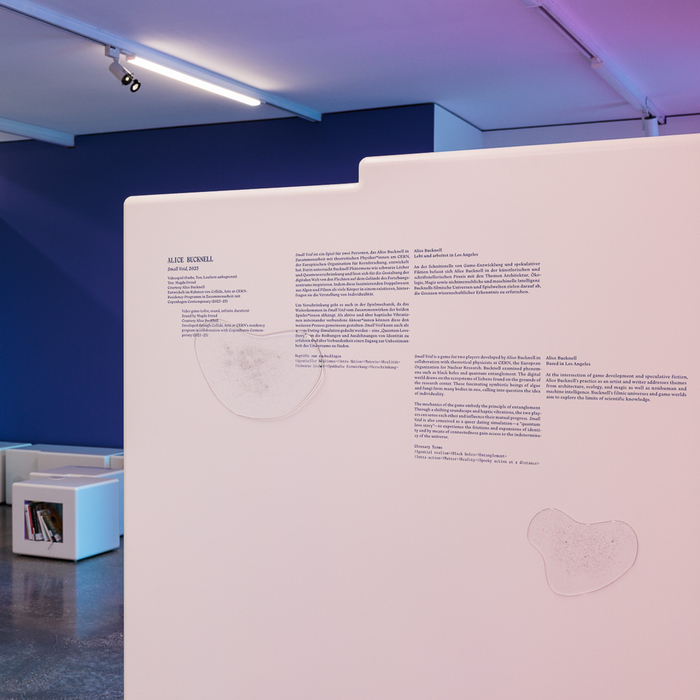 |Indeterminate⟩⟨Apparatus| 4