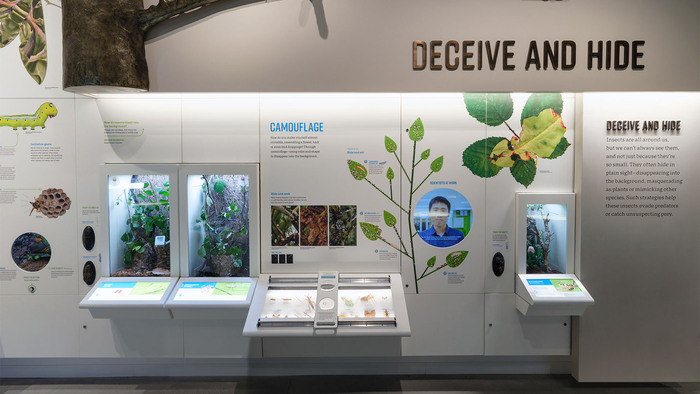 The Insectarium at the American Museum of Natural History 14