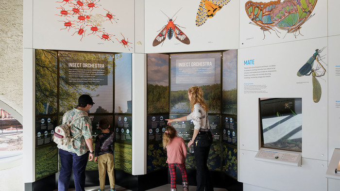 The Insectarium at the American Museum of Natural History 15