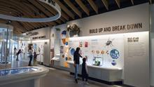 The Insectarium at the American Museum of Natural History