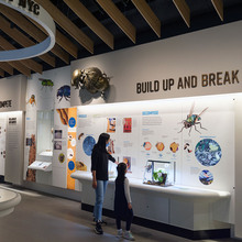 The Insectarium at the American Museum of Natural History