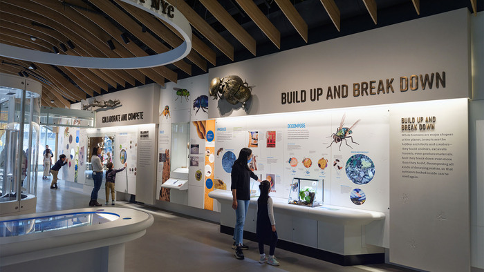 The Insectarium at the American Museum of Natural History 1