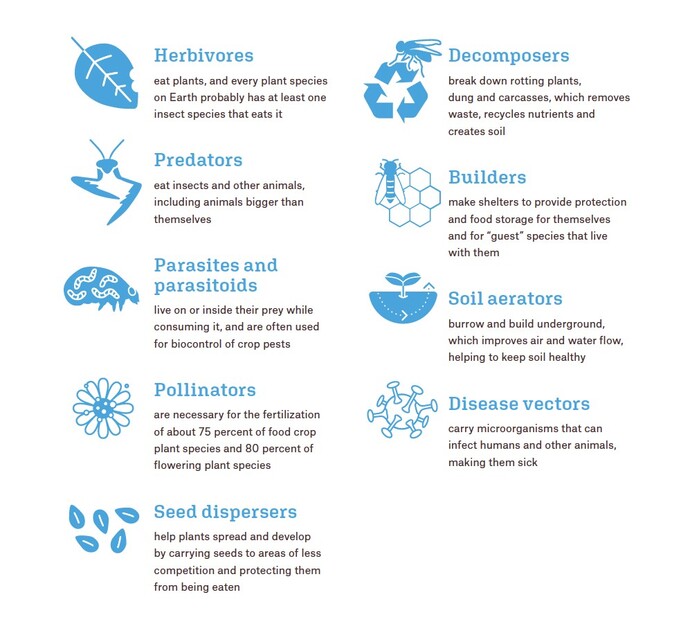 The Insectarium at the American Museum of Natural History 18