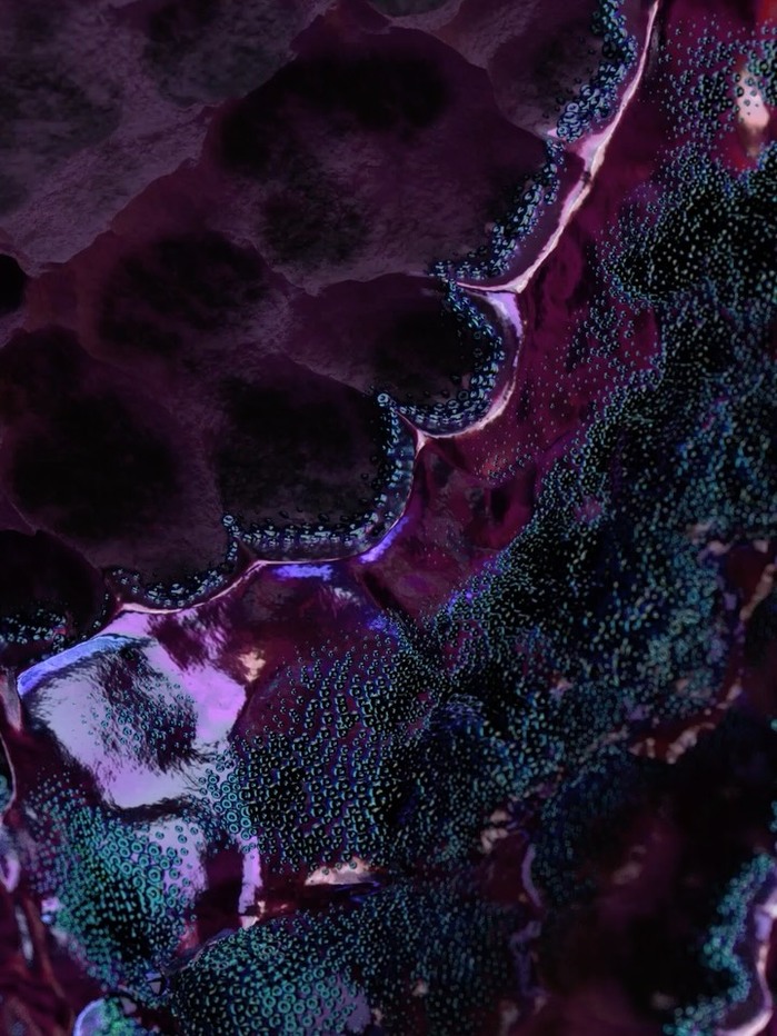 Erkalium – Xaius album art 6