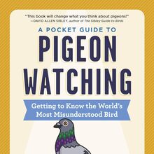 <cite>A Pocket Guide to Pigeon Watching</cite> by Rosemary Mosco