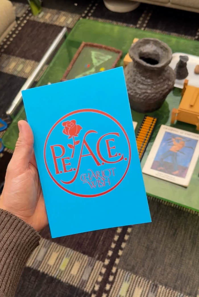 P.E.A.C.E. by Chariot Wish 2