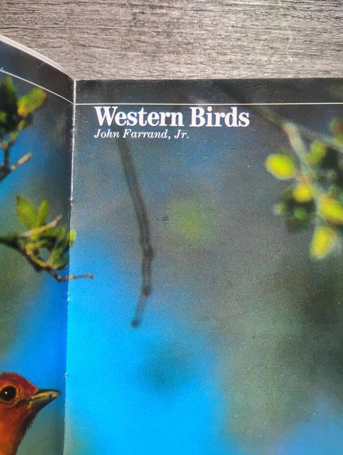The tightly kerned title with the author’s unkerned name below.