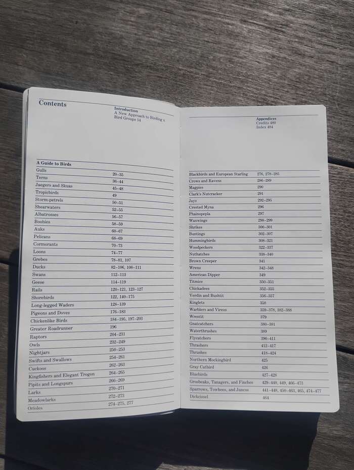 A rare case in Vignelli’s work where text appears to be evenly spaced between rules. Usually when using rules, Vignelli would set the text closer to the rule above than to the one below, creating the impression that text is hung from the rule above. In his Canon, he mentions this as a “small but important detail.”&nbsp;