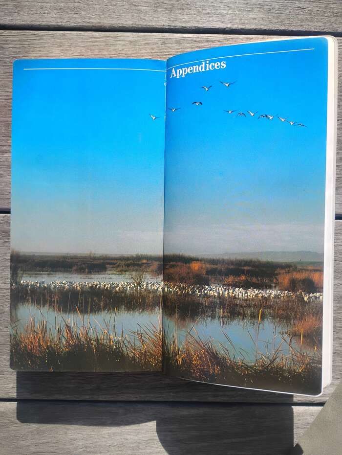 One of three headings where text is kerned in a manner one would expect from a Vignelli-designed book.
