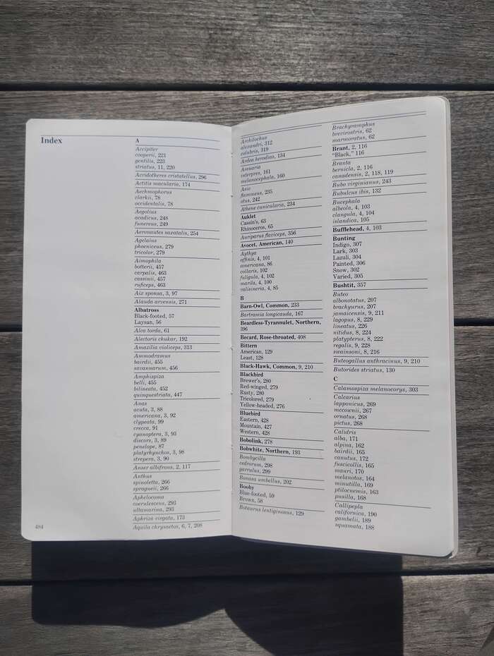 The first page of the Index is numbered but all subsequent pages are not.