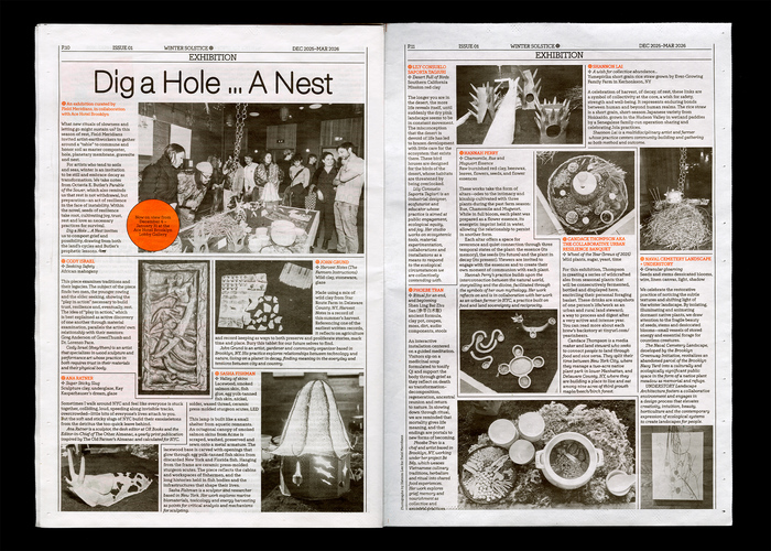 Field Meridians – Observer, issue 01 7