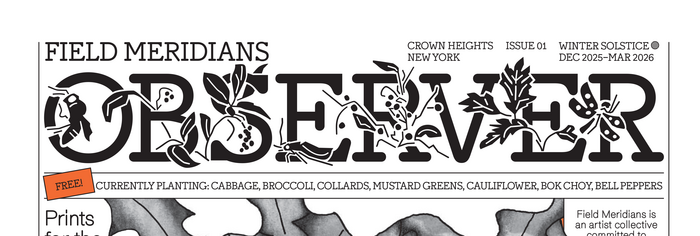 Field Meridians – Observer, issue 01 2