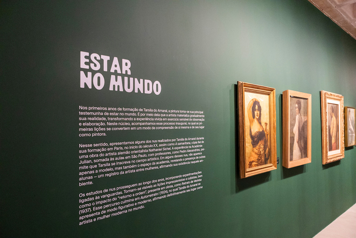 Transbordar o mundo: os olhares de Tarsila do Amaral at Centro Cultural TCU 4