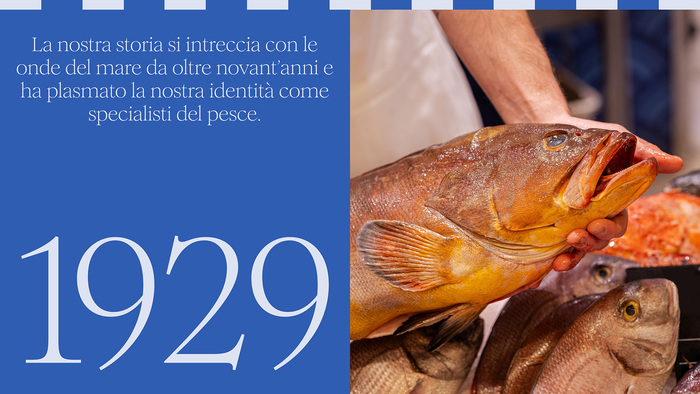 Pescheria Pedol 7