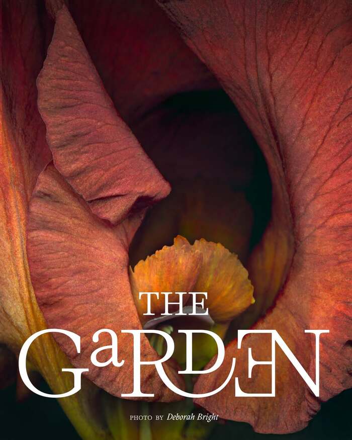 The Garden exhibition at BGSQD 1