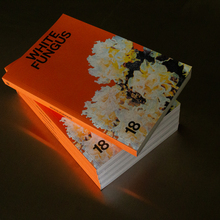 <cite>White Fungus</cite>, no. 18