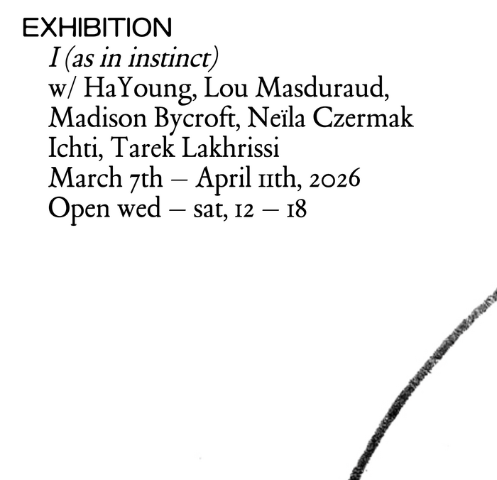 I (as in instinct) at Sissi Club exhibition poster and website 2