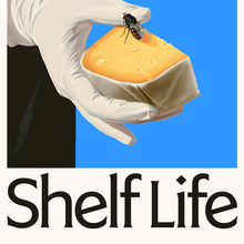 <cite>Shelf Life</cite> movie posters