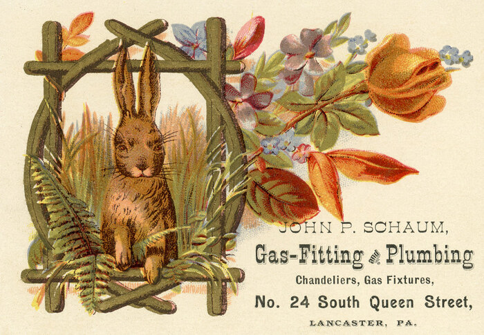 John P. Schaum business card 3