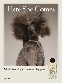 Biche launch campaign