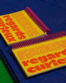 <cite>Regard Curieux</cite>