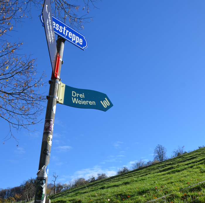 Drei Weieren branding and wayfinding 2
