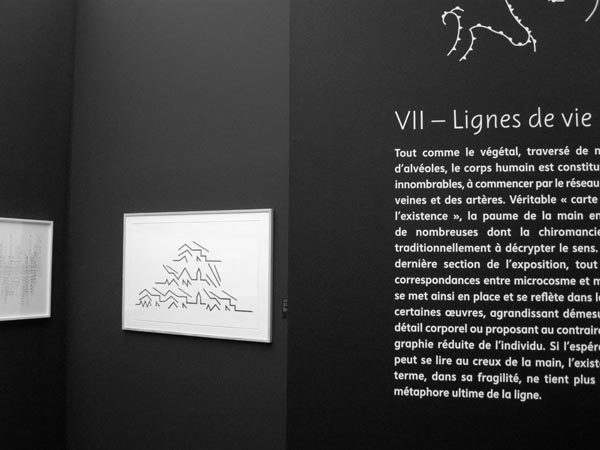 Une bréve histoire des lignes exhibition signs 1