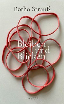 <cite>Bleiben und Blicken</cite> by Botho Strauß
