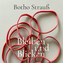 <cite>Bleiben und Blicken</cite> by Botho Strauß