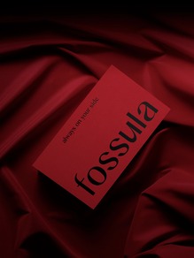 Fossula