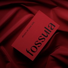 Fossula